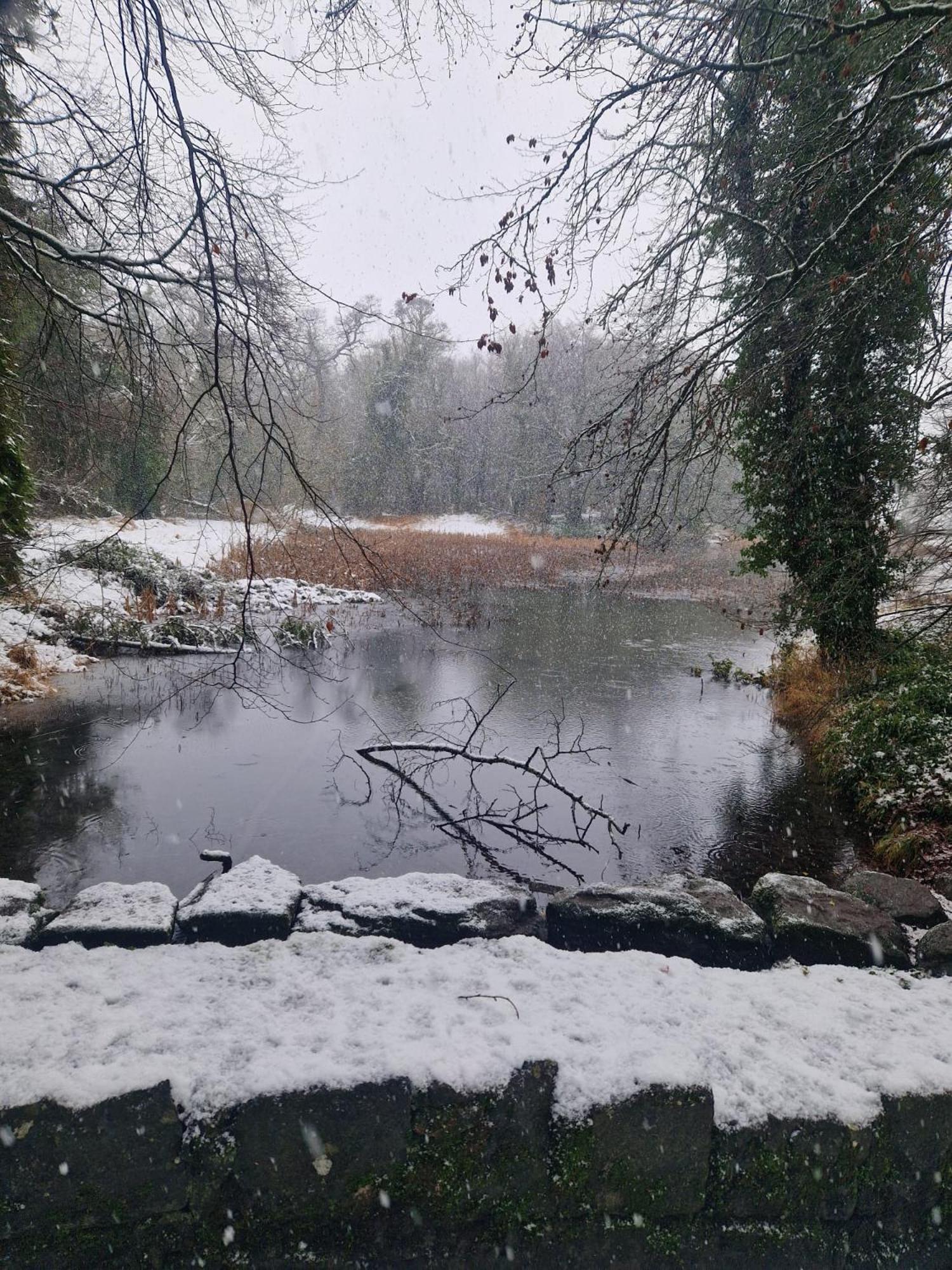 Oakdale, Templemore, E41f856 Homestay *