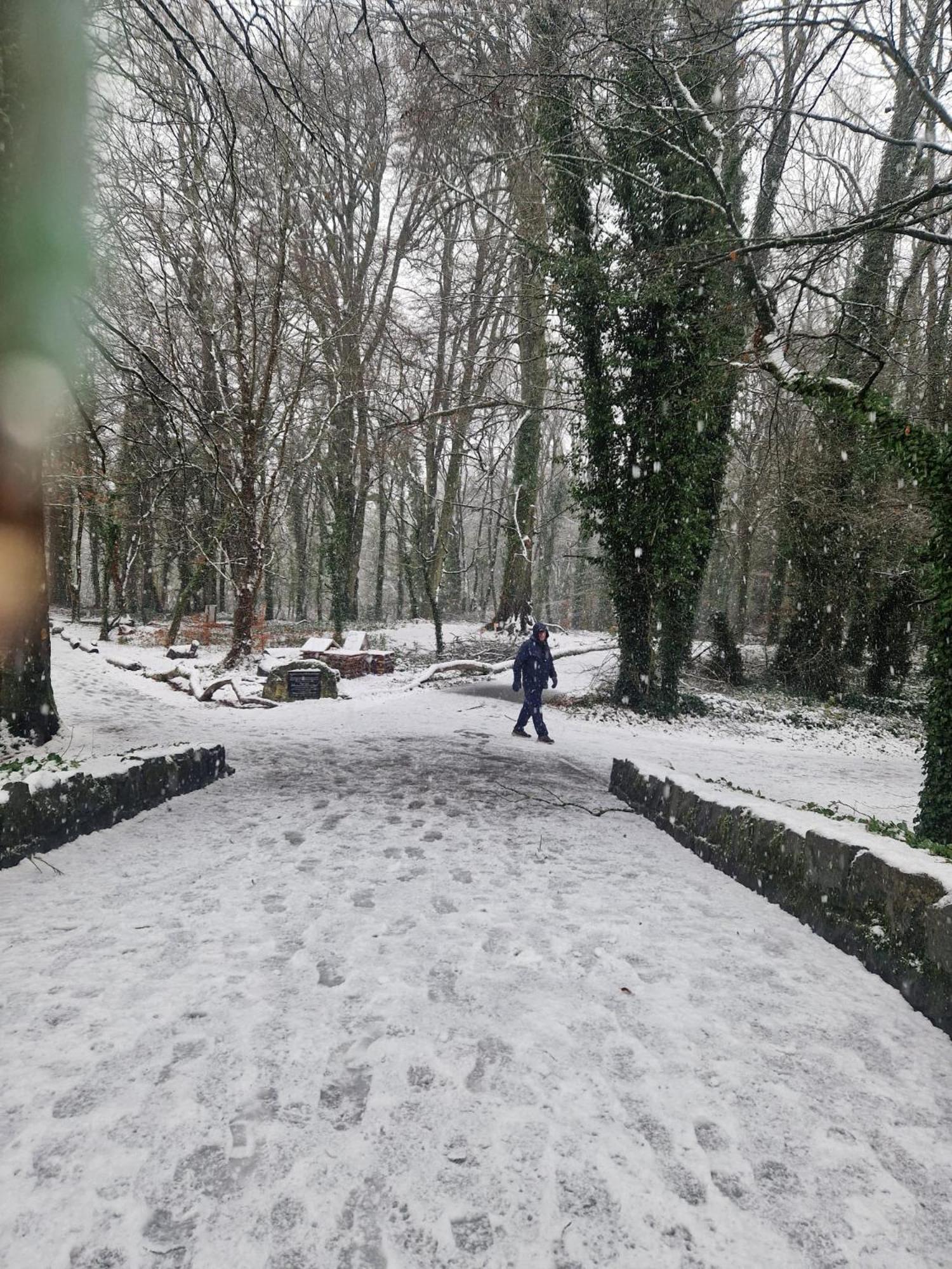 Homestay Oakdale, Templemore, E41f856 Templemore