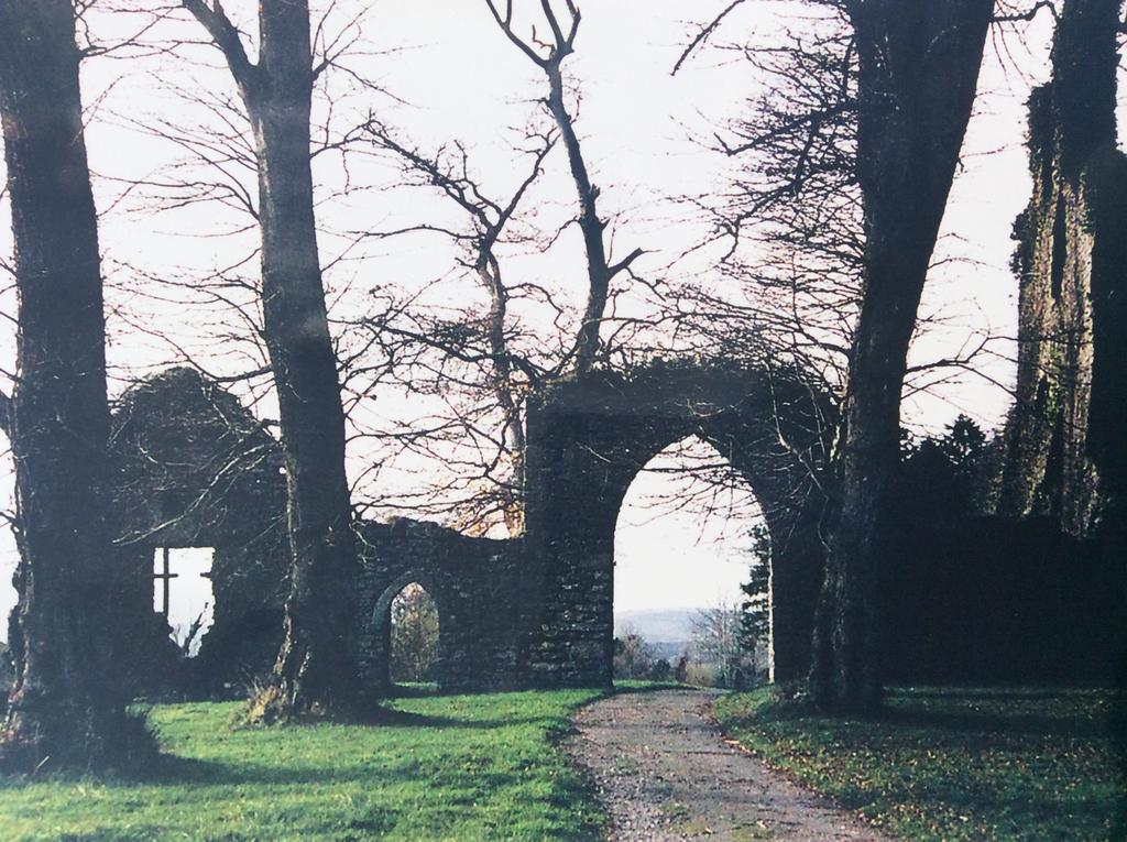 Oakdale, Templemore, E41f856 Homestay *